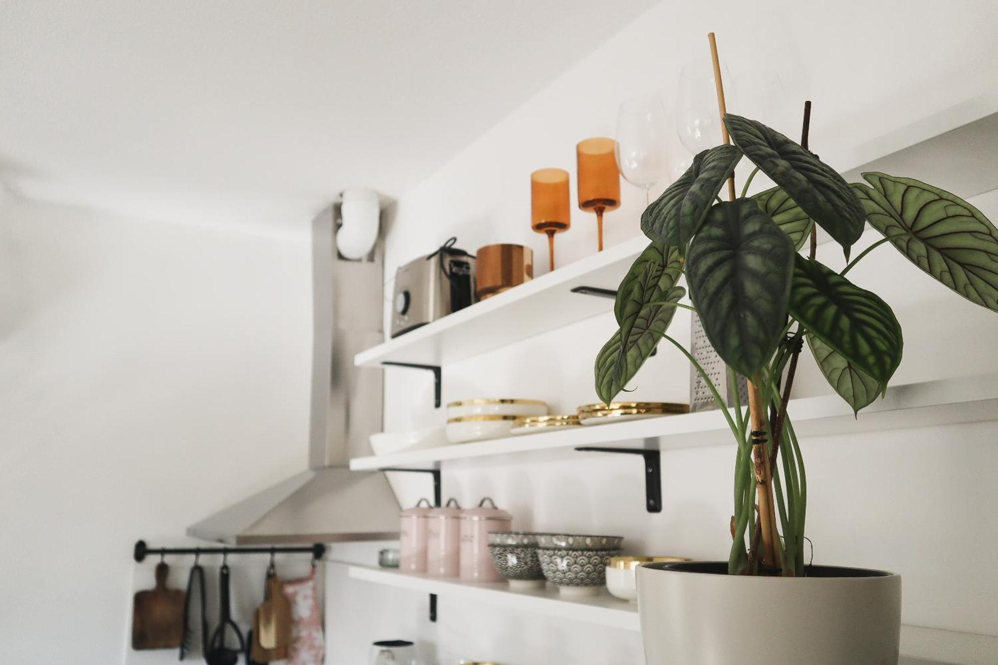 Urban Jungle Apartment - Free Parking Любляна Екстер'єр фото