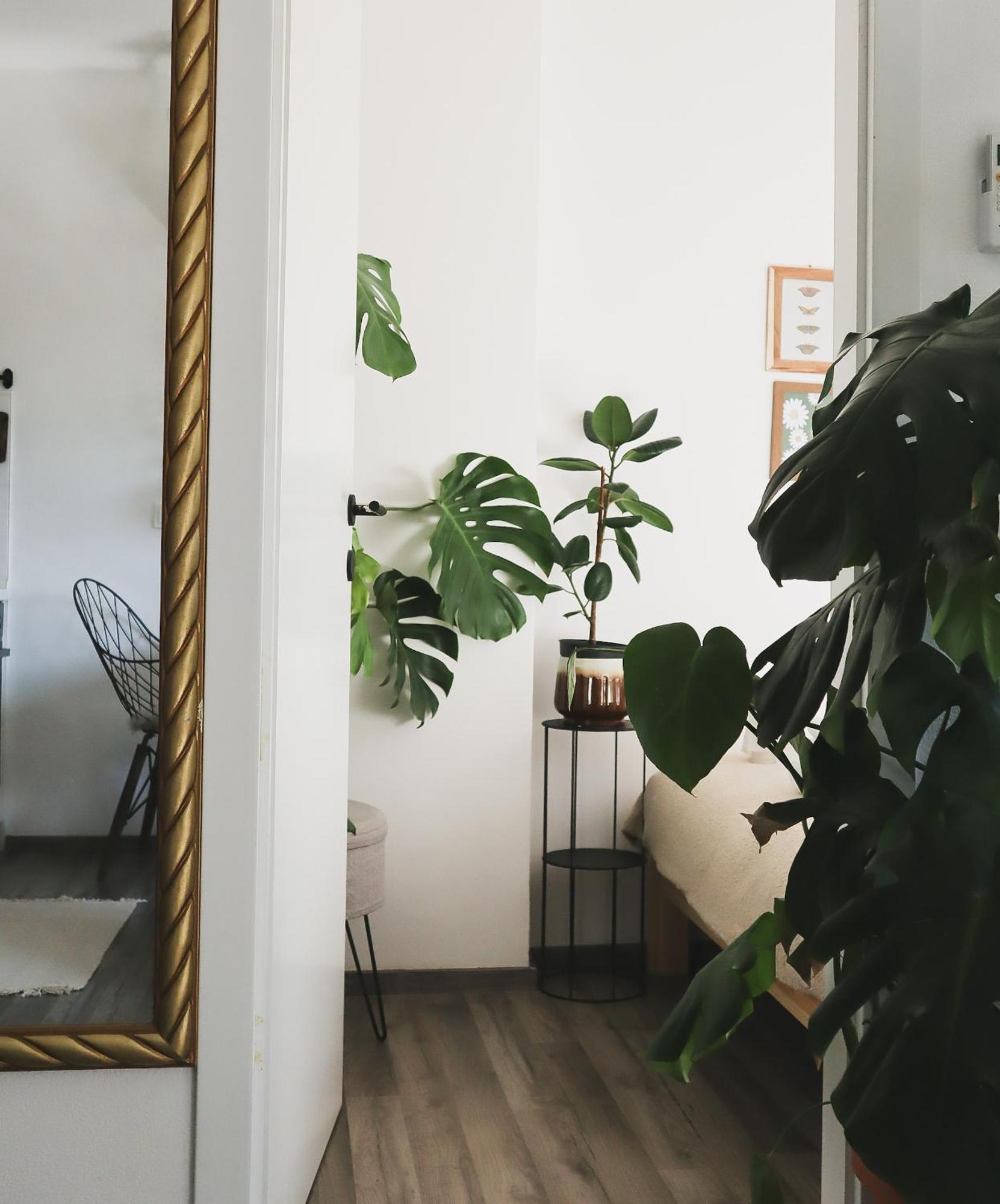 Urban Jungle Apartment - Free Parking Любляна Екстер'єр фото