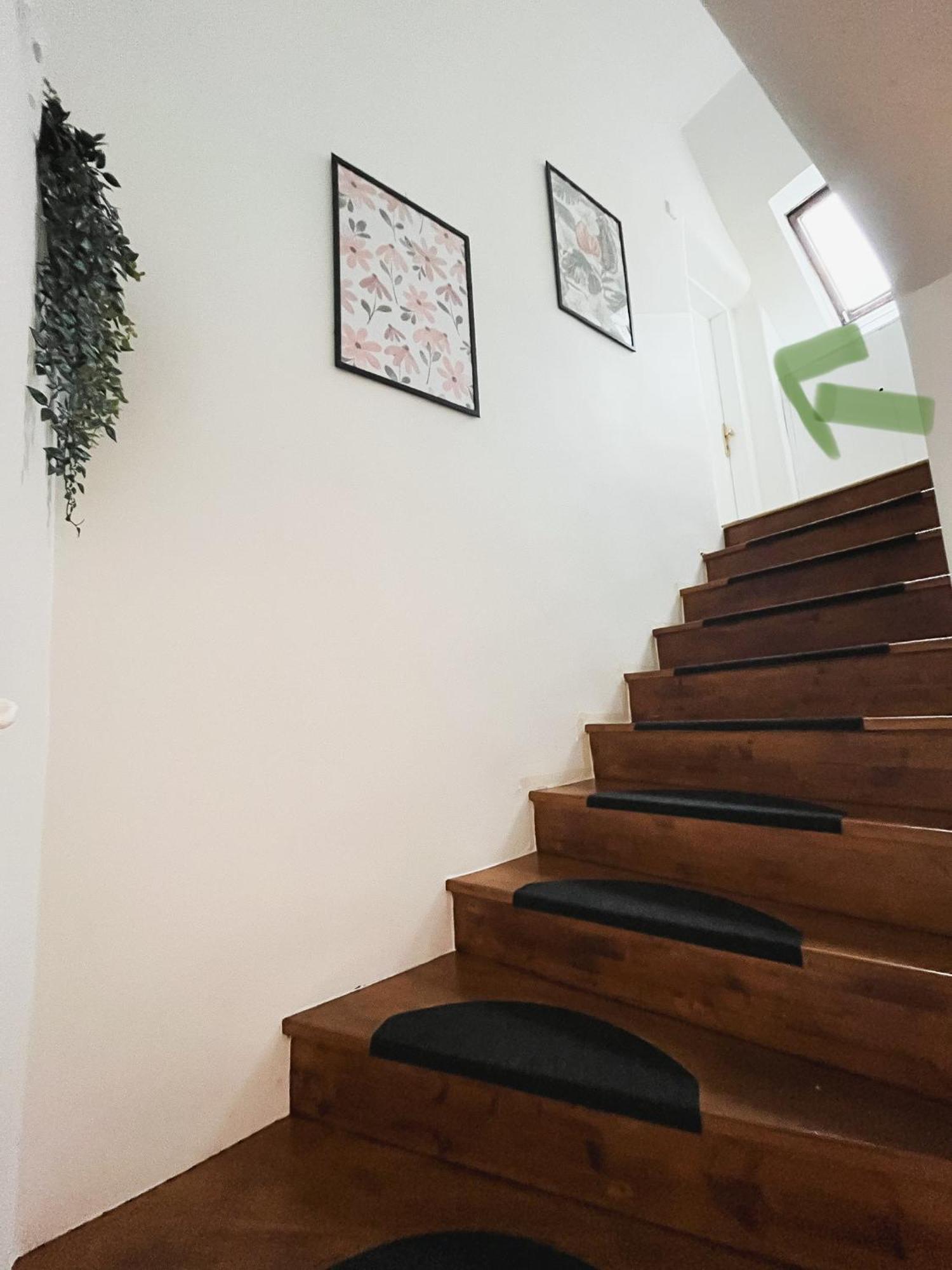 Urban Jungle Apartment - Free Parking Любляна Екстер'єр фото